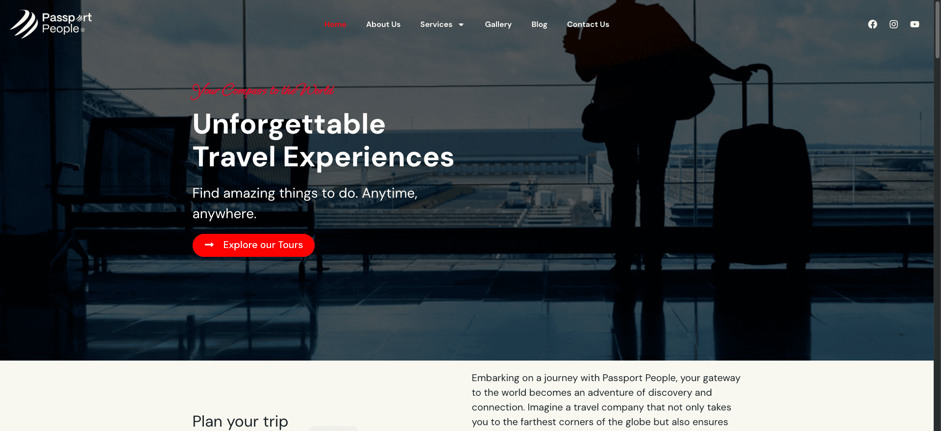 Passport People website project by Tecunit Ghana